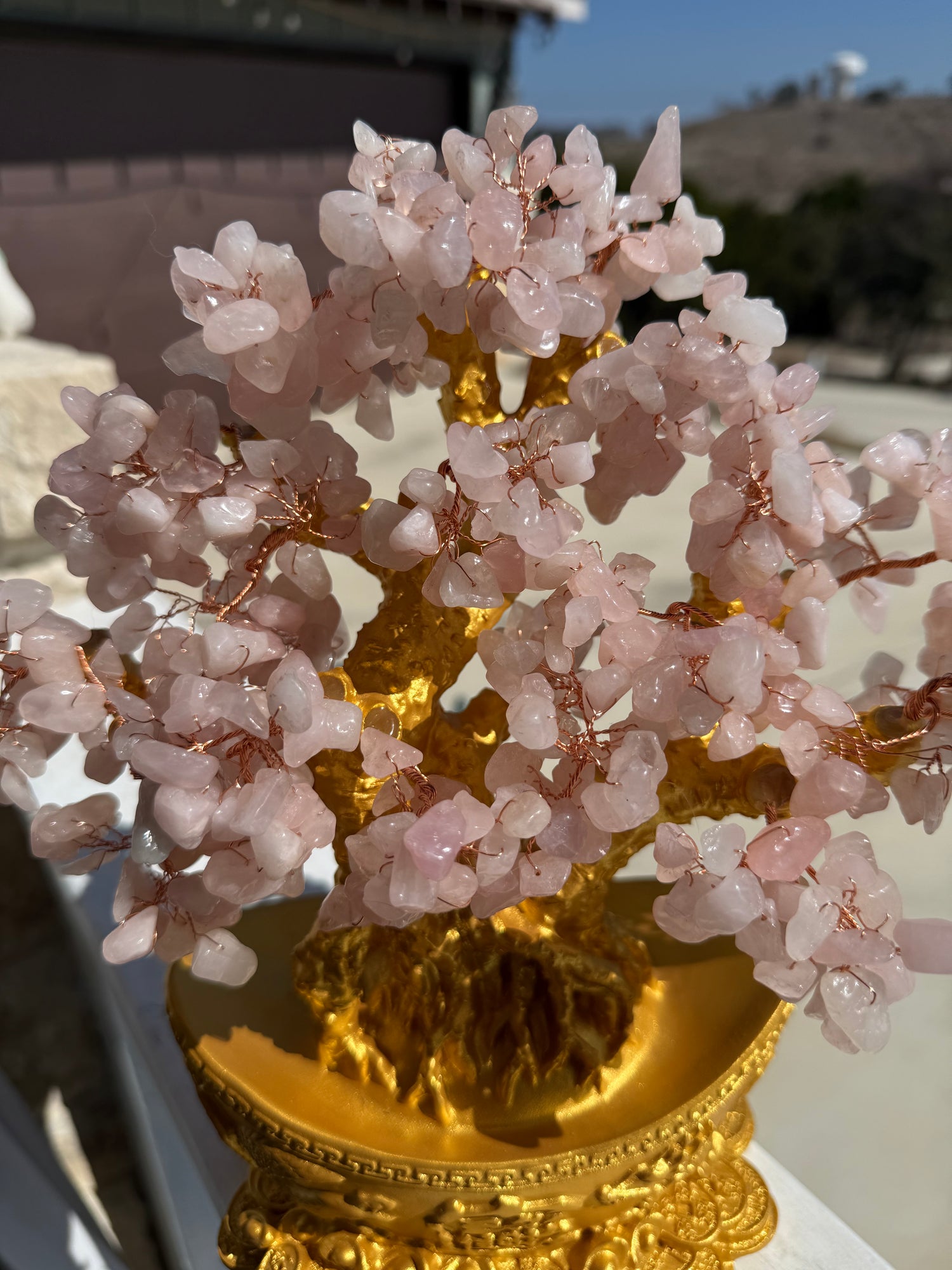 Sakura Rose Quartz Collection